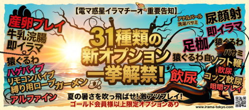 31種類の新オプションが一斉解禁！