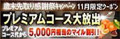 【11月限定】プレミアム★マイルクーポン