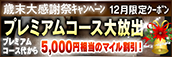 【12月限定】プレミアム★マイルクーポン